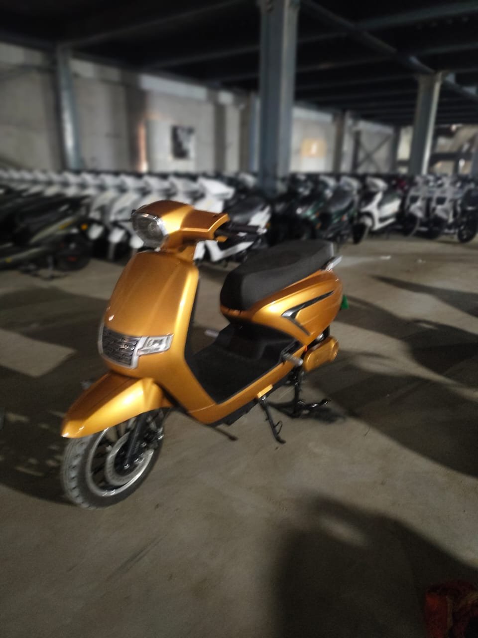 WhatsApp Image 2026-01-10 at 5.16.31 PM (2)