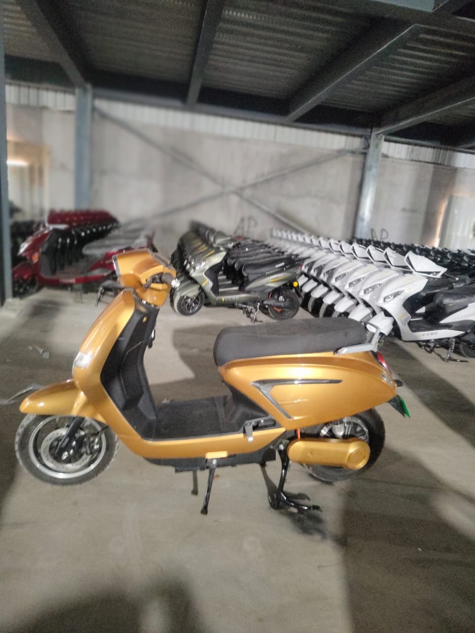 WhatsApp Image 2026-01-10 at 5.16.32 PM